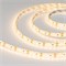 Лента герметичная RTW-SE-A120-8mm 12V Warm3000 (9.6 W/m, IP65, 2835, 5m) (Arlight, -) 015730(3) - фото 91235