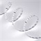 Лента MICROLED-5000HP 24V White5500 8mm (2216, 120 LED/m, LUX) (Arlight, 14 Вт/м, IP20) 024426 - фото 91386