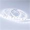 Лента RTW 2-5000SE 12V Cool (3528, 300 LED, LUX) (Arlight, 4.8 Вт/м, IP65) 016836-1 - фото 91412