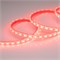 Лента RTW 2-5000PGS 12V Red 2x (5060, 300 LED, LUX) (Arlight, 14.4 Вт/м, IP67) 015134-1 - фото 91433