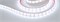 Лента RTW 2-5000PGS 12V Cool 2x (5060, 300 LED, LUX) (Arlight, 14.4 Вт/м, IP67) 016844-1 - фото 91571