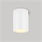 Светильник LGD-FORMA-SURFACE-R90-12W Warm3000 (WH, 44 deg, 230V) (Arlight, IP54 Металл, 3 года) 037261 - фото 91629