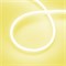 Светодиодная лента герметичная AURORA-PS-A120-12x6mm 24V Yellow (10 W/m, IP65, 2835, 5m) (Arlight, Силикон) 036682 - фото 91758