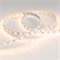 Лента RT 2-5000 12V Warm2700 2x (5060, 300 LED, LUX) (Arlight, 14.4 Вт/м, IP20) 012349 - фото 91764