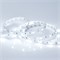 Лента RT 2-5000 12V Cool 8K (5060, 150 LED, LUX) (Arlight, 7.2 Вт/м, IP20) 016890-1 - фото 91858