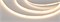 Лента COB-X480-6mm 24V Warm2700 (6 W/m, IP20, CSP, 4m) (Arlight, -) 039055 - фото 92239