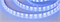 Лента RTW 2-5000PGS 12V Blue 2x (5060, 300 LED, LUX) (Arlight, 14.4 Вт/м, IP67) 013406-1 - фото 92296