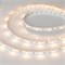 Лента RT-B30-10mm 12V Warm2700 (7.2 W/m, IP20, 5060, 5m) (Arlight, 7.2 Вт/м, IP20) 010594(2) - фото 92400
