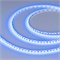 Лента RT 2-5000 12V Blue 5mm 2x (3528, 600 LED, LUX) (Arlight, 9.6 Вт/м, IP20) 015004(1) - фото 92412