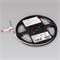 Лента RT 2-5000 12V Blue 5mm 2x (3528, 600 LED, LUX) (Arlight, 9.6 Вт/м, IP20) 015004(1) - фото 92414