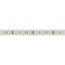 Лента RTW 2-5000PW 12V White6000 2x (5060, 300 LED, LUX) (Arlight, 14.4 Вт/м, IP66) 016169-1 - фото 92429