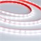 Лента RTW 2-5000PS-50m 24V White6000 (3528, 60 LED/m, LUX) (Arlight, 4.8 Вт/м, IP67) 024562 - фото 92569