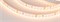 Лента RT-A120-8mm 24V Warm2700 CRI98 (9.6 W/m, IP20, 2835, 5m) (Arlight, 9.6 Вт/м, IP20) 021417(2) - фото 92627