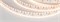 Лента RS 2-5000 24V Warm3000 2x2 15mm (3014, 240 LED/m, LUX) (Arlight, 19.2 Вт/м, IP20) 024471 - фото 92634