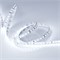 Лента RT 2-5000 24V Cool 8K 2x (2835, 600 LED, PRO) (Arlight, 14.4 Вт/м, IP20) 016888(1) - фото 92653