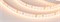 Лента RT 2-5000 24V Warm3000 2x (2835, 600 LED, CRI98) (Arlight, 14.4 Вт/м, IP20) 021411(B) - фото 92699