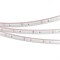Лента RTW-5000PS-3528-60-12V Blue (11mm, 4.8W, IP67) (Arlight, -) 032839 - фото 92964