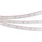 Лента RTW-5000PS-3528-60-12V Blue (11mm, 4.8W, IP67) (Arlight, -) 032839 - фото 92965