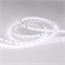 Лента IC 2-30000 24V White6000 10mm (2835, 60 LED/m, LUX) (Arlight, 4.6 Вт/м, IP20) 027030 - фото 92990