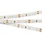 Лента RT 2-5000 12V Warm2700 (3528, 300 LED, CRI98) (Arlight, 4.8 Вт/м, IP20) 021420(1) - фото 93210