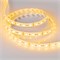Лента RTW 2-5000SE 12V Yellow 2x (5060, 300 LED, LUX) (Arlight, 14.4 Вт/м, IP65) 015444 - фото 93329