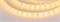 Лента RTW 2-5000SE 12V Yellow 2x (5060, 300 LED, LUX) (Arlight, 14.4 Вт/м, IP65) 015444 - фото 93331