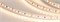 Лента IC2-20000 24V Warm2700 2x 12mm (2835, 120 LED/m, Long) (Arlight, 9.6 Вт/м, IP20) 024593 - фото 93420