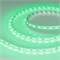 Лента RT-B60-10mm 24V Green (14.4 W/m, IP20, 5060, 5m) (Arlight, Открытый) 008818(2) - фото 93428