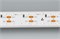 Лента RS 2-5000 24V Day4000 2x2 15mm (3014, 240 LED/m, LUX) (Arlight, 19.2 Вт/м, IP20) 024470 - фото 93474