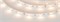 Лента RT 2-5000 12V Warm2700 (5060, 150 LED, LUX) (Arlight, 7.2 Вт/м, IP20) 010594(B) - фото 93562