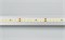 Лента RT 2-5000-50m 24V Day4000 2x (2835, 160 LED/m, LUX) (Arlight, 12 Вт/м, IP20) 024552 - фото 93765