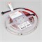 Лента SPI-BA120-12mm 24V RGBW-Warm-PX6-BPT (16 W/m, IP20, 5060/2835, 5m) (Arlight, бегущий огонь) 040620 - фото 94021