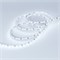 Лента MICROLED-5000L 24V Cool 8K 4mm (2216, 120 LED/m, LUX) (Arlight, 5.4 Вт/м, IP20) 024416 - фото 94026