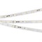 Лента RT-20000 24V White5500 (3528, 60 LED/m, 20m) (Arlight, 4.8 Вт/м, IP20) 025010 - фото 94126