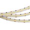 Лента RT 2-5000 24V Day4000 10mm (2835, 252 LED/m, LUX) (Arlight, 10 Вт/м, IP20) 022651 - фото 94172