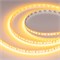 Лента RT-A120-8mm 24V Gold (9.6 W/m, IP20, 2835, 5m) (Arlight, -) 043385 - фото 94442