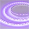 Лента RT-A120-8mm 24V Violet (9.6 W/m, IP20, 2835, 5m) (Arlight, -) 043384 - фото 94596