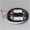 Лента RZ-A160-15mm 24V Day4000 (19.2 W/m, IP20, 2835, 5m) (Arlight, -) 036015 - фото 94736