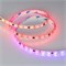 Лента герметичная DMX-SE-B60-10mm 12V RGB-PX3 (14 W/m, IP65, 5060, 5m) (Arlight, -) 039604 - фото 95128