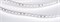 Лента RT 2-5000 24V White6000 2x (3528, 600 LED, LUX) (Arlight, 9.6 Вт/м, IP20) 010347(B) - фото 95287