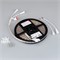 Лента герметичная SPI-P-B60-12mm 12V RGB-PX1-BPT (8 W/m, IP66, 5060, 5m) (Arlight, бегущий огонь) 041615(1) - фото 95305