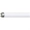 PHILIPS  TL-D 36W/89  G13 AQUARELL фотосинтез дневная МА405 - фото 9540