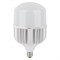 Лампа светодиодная +адаптор LV HW   65SW/865 140-265V E27/E40   6500lm d138x219  4099854121579 - фото 95530