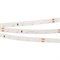 Лента RT 2-5000 24V Warm2700 (2835, 300 LED, PRO) (Arlight, 7.2 Вт/м, IP20) 020013(B) - фото 95677
