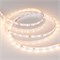 Лента RT 2-5000 24V Warm2700 (2835, 300 LED, PRO) (Arlight, 7.2 Вт/м, IP20) 020013(B) - фото 95680