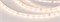 Лента RT 2-5000 24V Warm2700 (2835, 300 LED, PRO) (Arlight, 7.2 Вт/м, IP20) 020013(B) - фото 95681