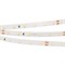 Лента RT 2-5000 24V Warm2700 (2835, 300 LED, PRO) (Arlight, 7.2 Вт/м, IP20) 020013(B) - фото 95682