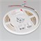 Лента герметичная RTW-PW-A160-8mm 24V White6000 (10 W/m, IP66, 2835, 5m) (Arlight, Матовая) 041112 - фото 95705