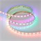 Лента SPI-B60-10mm 5V RGB-PX1-BPT (12 W/m, IP20, 5060, 5m) (Arlight, бегущий огонь) 037855 - фото 95743