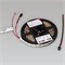 Лента SPI-B60-10mm 5V RGB-PX1-BPT (12 W/m, IP20, 5060, 5m) (Arlight, бегущий огонь) 037855 - фото 95748